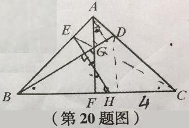 QQ图片20160719075719_2.JPG