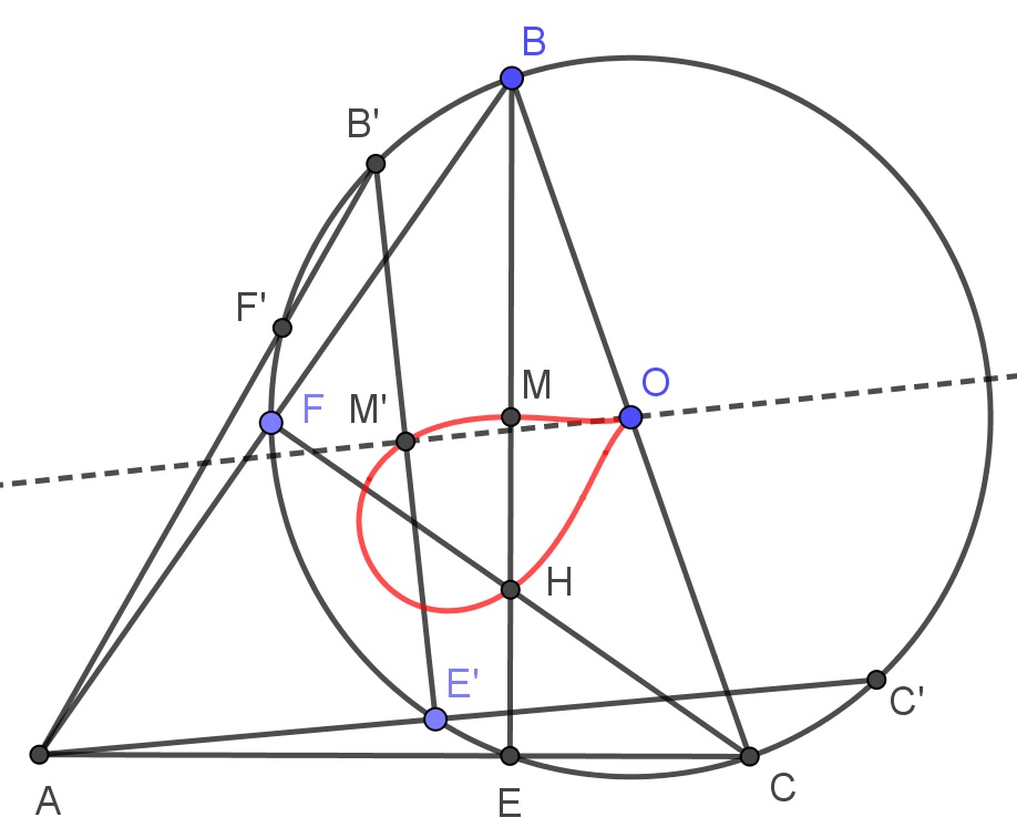 72414578_795544637558350_3561505470185209856_o.jpg