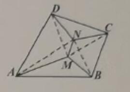 41601.jpg