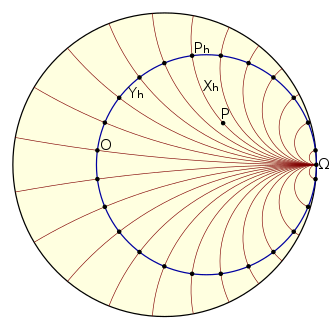 330px-Horocycle-based_coordinate_system.svg[1].png