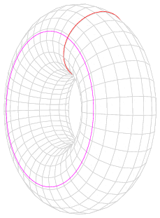 Torus_cycles[1].png