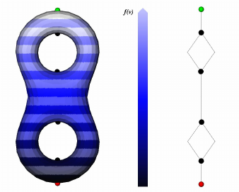 A-Morse-function-defined-on-genus-2-2-manifold-its-critical-points-and-its-Reeb-.png