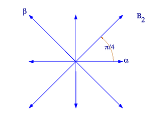 300px-Root-system-B2[1].png