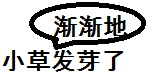 无标题.gif